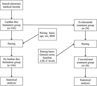 Lumbar disc herniation is an independent predictor of plaque burden in the patients with unstable angina